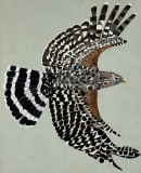On Wings and a Prayer #2,  20x16 soaring bird of prey black and white feathers brownish  at shoulders