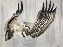 On Wings and a Prayer #4,  bird of prey in flight wings spread and talons ready to hunt