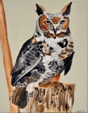 Owl #2, Acrylic on Canvas, 11” x 14”