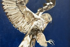 On Wings and a Prayer #8, deep blue background bird of prey wings extended talons open for prey