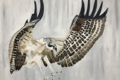 On Wings and a Prayer #4,  bird of prey in flight wings spread and talons ready to hunt