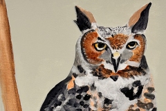 Owl #2, Acrylic on Canvas, 11” x 14”