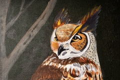 Owl #3, Acrylic on Canvas, 11” x 14”