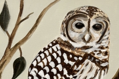 Owl #4Acrylic on Canvas 11” x 14”