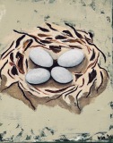 birds eggs in loosely painted nest