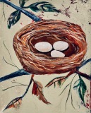 nest with three birds eggs on branches