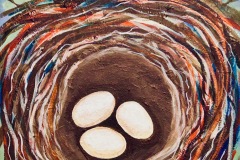 Three eggs resting inside a circular birds nest