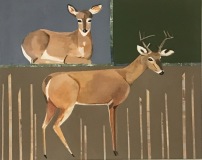 Oh Deer  #6 Standing buck with a resting  deer on different color blocks