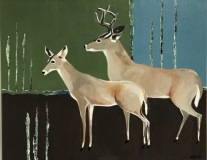 Oh Deer #7 full body doe and bulk in profile against  painted rectangles