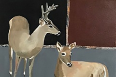 Oh Deer #2 A buck and doe against black brown and grey painted squares