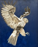 On Wing and a Prayer #8 deep blue background bird of prey wings extended talons open for prey
