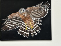 On Wings and a Prayer #9 soaring hawk brown black and white feathers soaring with wings and tail feathers extended