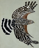 On Wings and a Prayer #2, 20x16,  soaring bird of prey with black and white wing and tail feathers