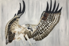 On Wings and a Prayer #4 bird of prey in flight wings spread and talons ready to hunt