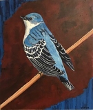 Tweet #10, blue bird with black and white wings perched  against a rust color background