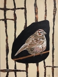 Tweet #9 small brown bird with black accents and lighter check encircled with black against a tan and painted paper strips background