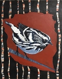 Tweet #5 black and white bird grey breast perching rust and multi colors background