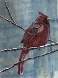 Tweet #14 cardinal deep red rust color perched on branch