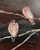 Tweet #19 a pair of plumb birds with black speckles on their bust and white breasts