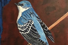 Tweet #10, blue bird with black and white wings perched  against a rust color background