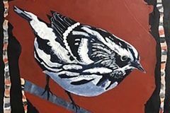 Tweet #5 black and white bird grey breast perching rust and multi colors background