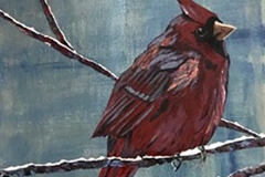 Tweet #14 cardinal deep red rust color perched on branch