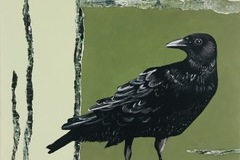 Tweet #18, black crow standing looking over its shoulder  on mud green background